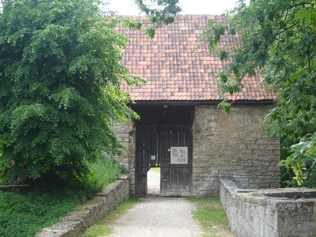 DSC03029
